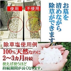 (【お墓の除草に】除草塩1ｋｇの画像