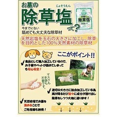 (【お墓の除草に】除草塩1ｋｇの画像