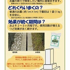 (【お墓の除草に】除草塩1ｋｇの画像