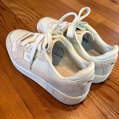 PUMA24.0 
スニーカーの画像