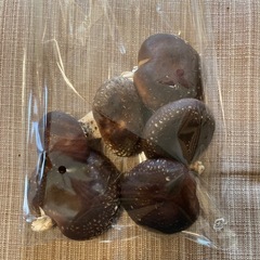 原木椎茸　　新田丸　あまりお店では見かけない品種　240号　324号の画像