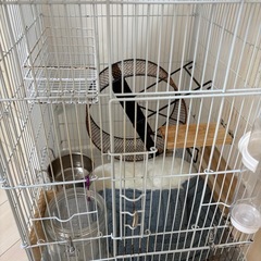 デグー　飼育　ゲージ　セットの画像