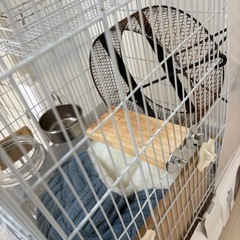 デグー　飼育　ゲージ　セットの画像