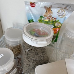 デグー　飼育　ゲージ　セットの画像