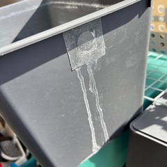 【12日まで問い合わせで4000円】メダカ めだか 飼育容器 タライ の画像