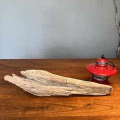 先が美形〜な〜流木…天然物、インテリア、オブジェの画像