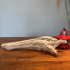 先が美形〜な〜流木…天然物、インテリア、オブジェの画像