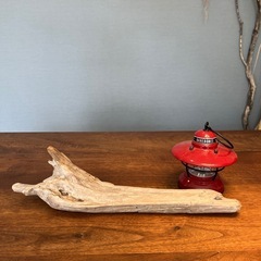 先が美形〜な〜流木…天然物、インテリア、オブジェの画像
