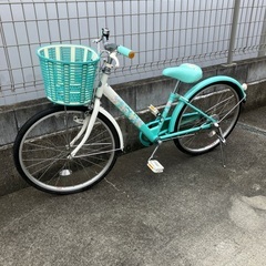 ブリヂストン/22インチ子供用自転車 エコパルの画像