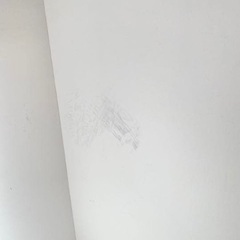 【決定しました】【引き取りのみ】の画像