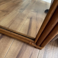 姿見　ボタニカル　海外風の画像