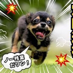 ＼月３回、休みとれちゃう！／　冷暖房バッチリでいつでも快適◎　モクモク軽作業でノンストレス！の画像