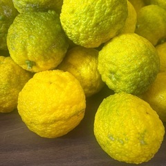 残りわずか♥️ 柚 50個 ②の画像