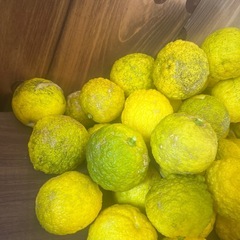 残りわずか♥️ 柚 50個 ②の画像