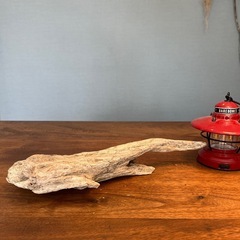 21.いろんな向きで楽しめる流木…天然物、インテリア、オブジェの画像