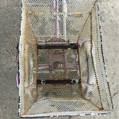 h-197△ q 岐阜発/ ブリジストン/ WAGON/ 大人用三輪自転車/ スイングなし/ 3段変速/ 走行確認/ 現状品/ 管06s/ R7.11/1 △の画像