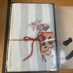 東レいろりマイヤーシーツの画像