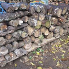 格安！広葉樹乾燥済玉切り薪、樫、スタジイ、ウバメガシなどのMIXの画像
