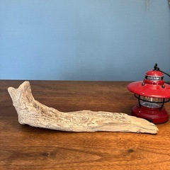ペラっとした柄良し流木…天然物、インテリア、オブジェの画像