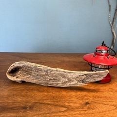 ペラっとした柄良し流木…天然物、インテリア、オブジェの画像