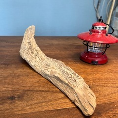 ペラっとした柄良し流木…天然物、インテリア、オブジェの画像