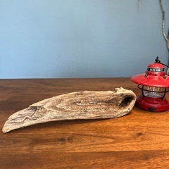 ペラっとした柄良し流木…天然物、インテリア、オブジェの画像