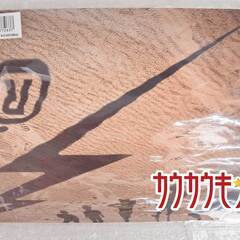 ORANGE RANGE FC TOUR AID JAM 008パンフ /PANIC FANCY 2点セットの画像