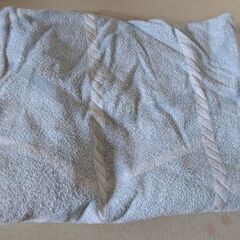 薄い毛布2枚の画像