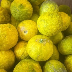 早い者勝ち♥️ 柚 65個 ③の画像