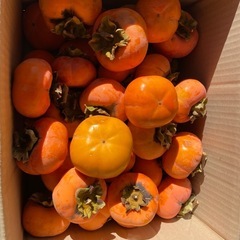 柿　甘柿です。。の画像