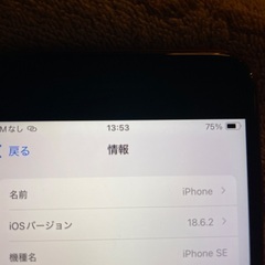 iPhoneSE2 128GB 本体のみ　接続端子不調の画像