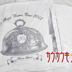 安室奈美恵 ドームツアー 5major dome tour 20th クッション＋クッションカバー タイプAの画像