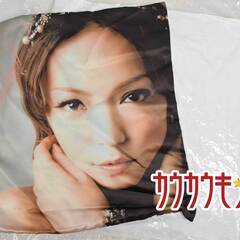 安室奈美恵 ドームツアー 5major dome tour 20th クッション＋クッションカバー タイプAの画像