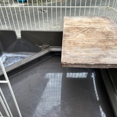 うさぎゲージの画像