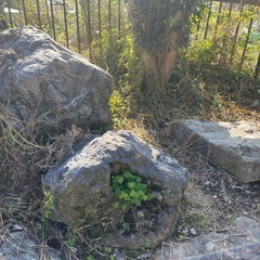 京都産の日本庭園の庭石の画像