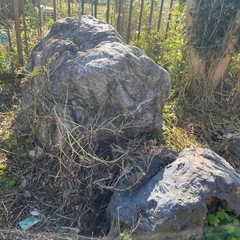 京都産の日本庭園の庭石の画像