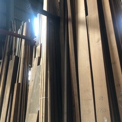 杉、ヒバ、桧その他の画像