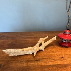 21 クロスした〜流木…天然物、インテリア、オブジェの画像