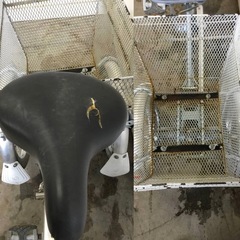 h-201△ q 岐阜発/ ブリジストン/ WAGON/ 大人用三輪自転車/ 3段変速/ スイングあり/ サドル破れあり/ 走行確認/ 現状品/ 管09s/ R7.4/12 △の画像