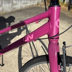 giant Liv Alight 子供用自転車 クロスバイク　ジャイアントの画像