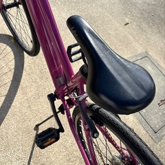 giant Liv Alight 子供用自転車 クロスバイク　ジャイアントの画像