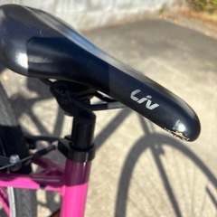 giant Liv Alight 子供用自転車 クロスバイク　ジャイアントの画像