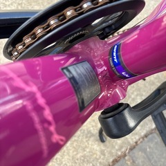 giant Liv Alight 子供用自転車 クロスバイク　ジャイアントの画像