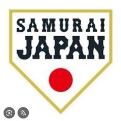 11/16日　侍JAPAN 強化試合チケット1枚の画像