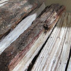 お引取り限定！！　土佐　薪（まき）（ナラ）　10ｋｇ程度　　の画像