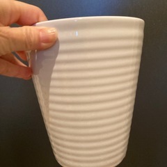 観葉植物　　ポトスライムの画像