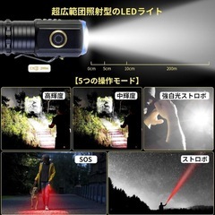 LED 懐中電灯 超小型 軽量 ハンディライト 高輝度 耐衝撃 登山 探検 散歩の画像