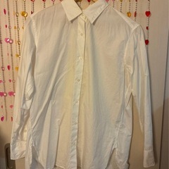 ユニクロ UNIQLO コットンシャツ ホワイト 白 Mサイズ レディースの画像