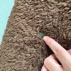 美品　こたつとニトリのラグの画像