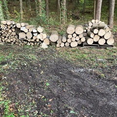 丸太　薪　杉木、サクラ、紅葉、コナラみたいの木他　大量　配達可能の画像